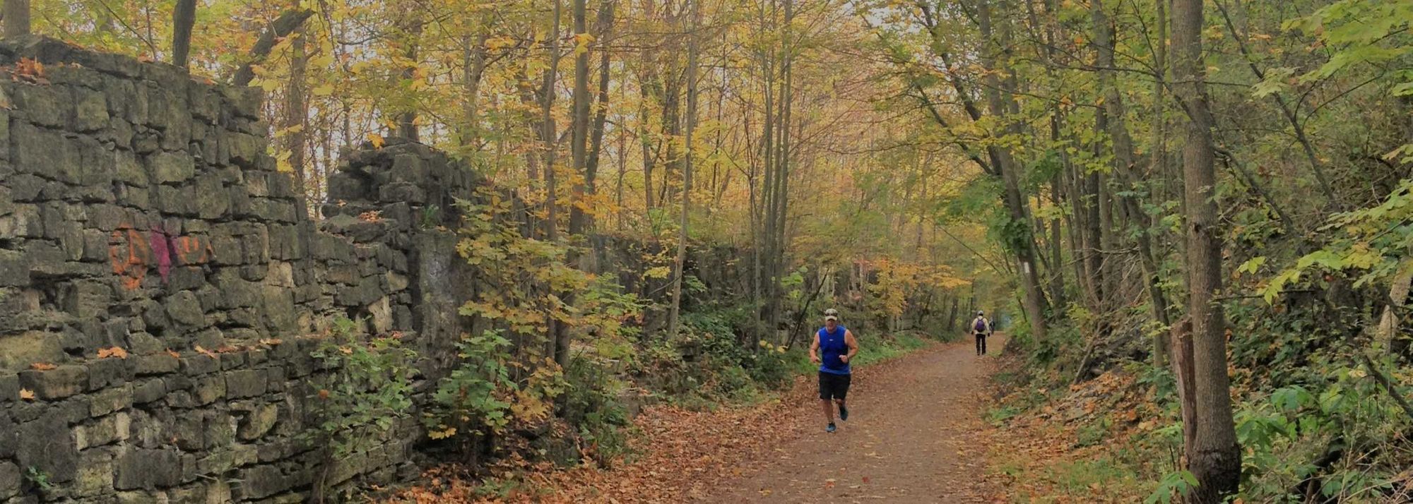 A runner on a wooded trail lined with old stone walls, autumn leaves on the ground